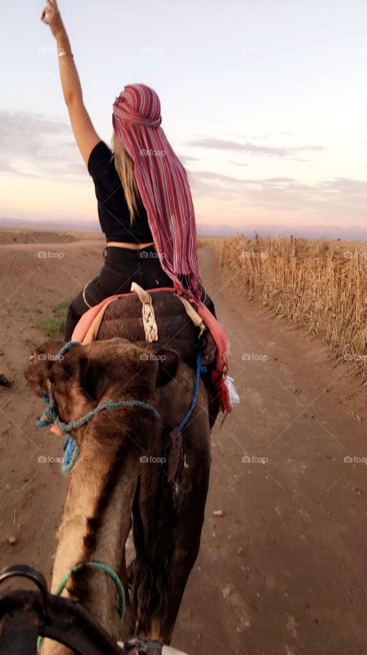 Camel Trek to the Sahara