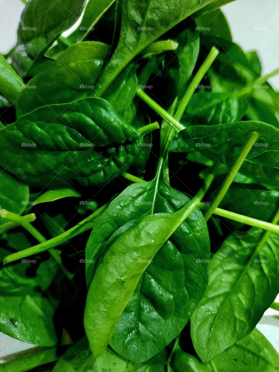 spinach