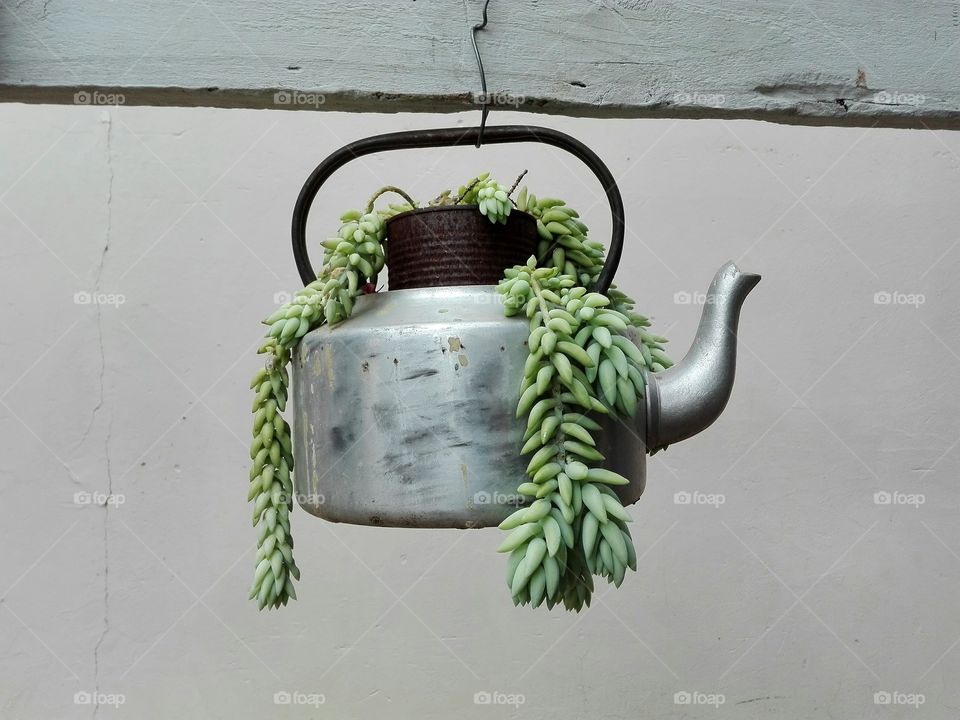 Rustic Teapot Flower Pot