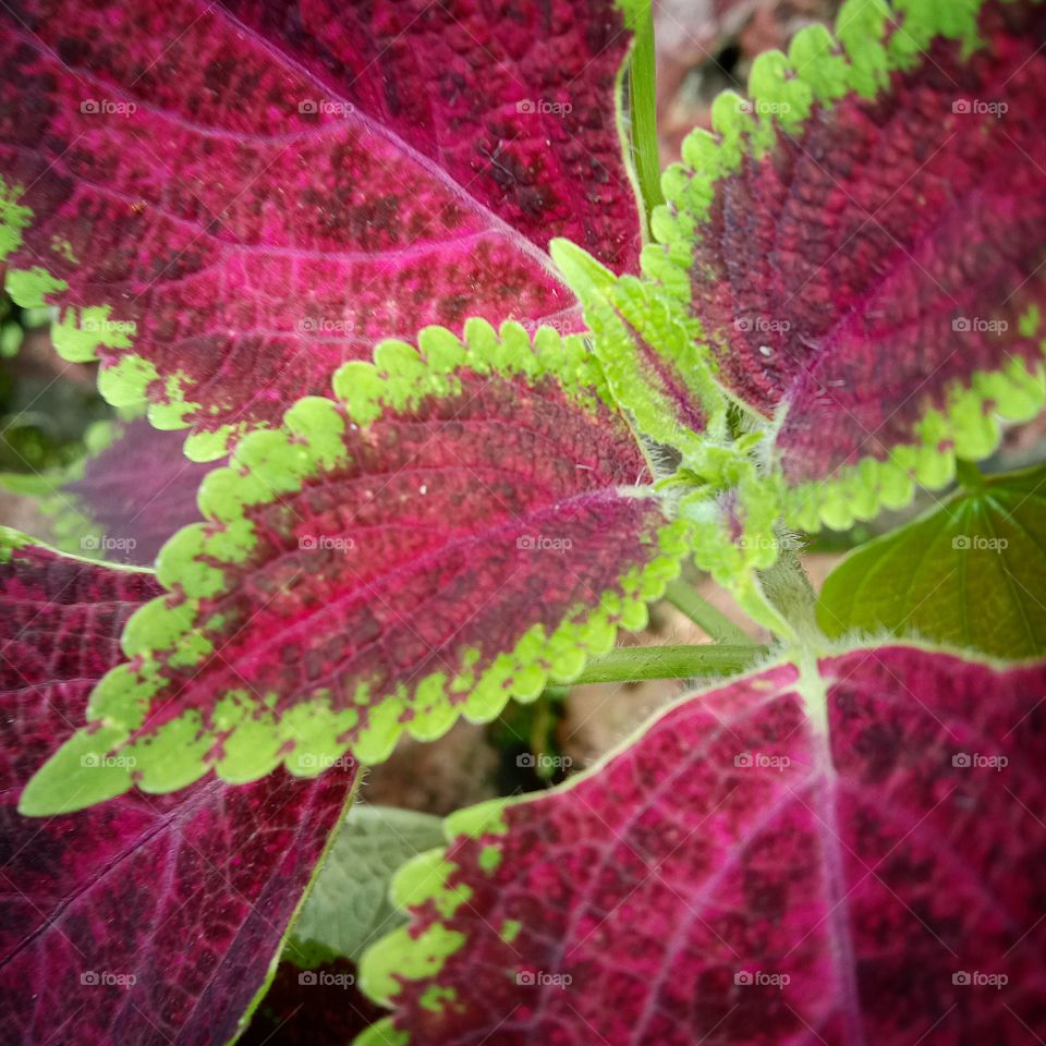 Outdoor Gardening!