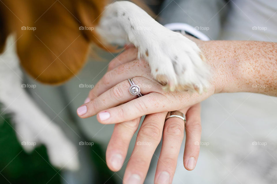Bride and groom holding hands with dog