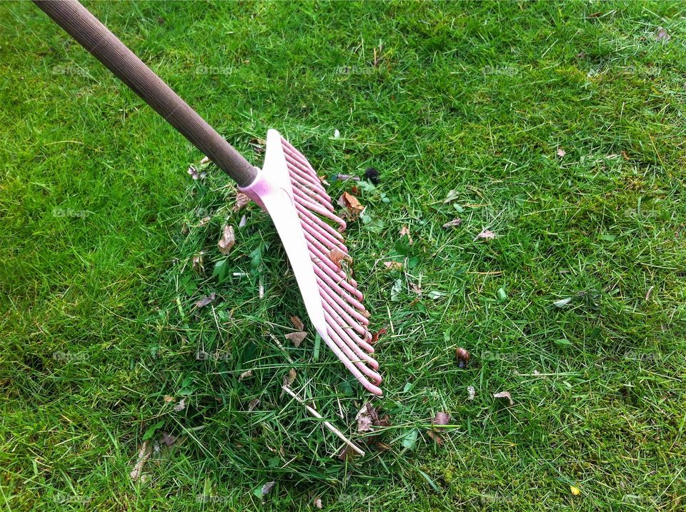 A heap of cut grass is raked up with a pink plastic rake in the garden.