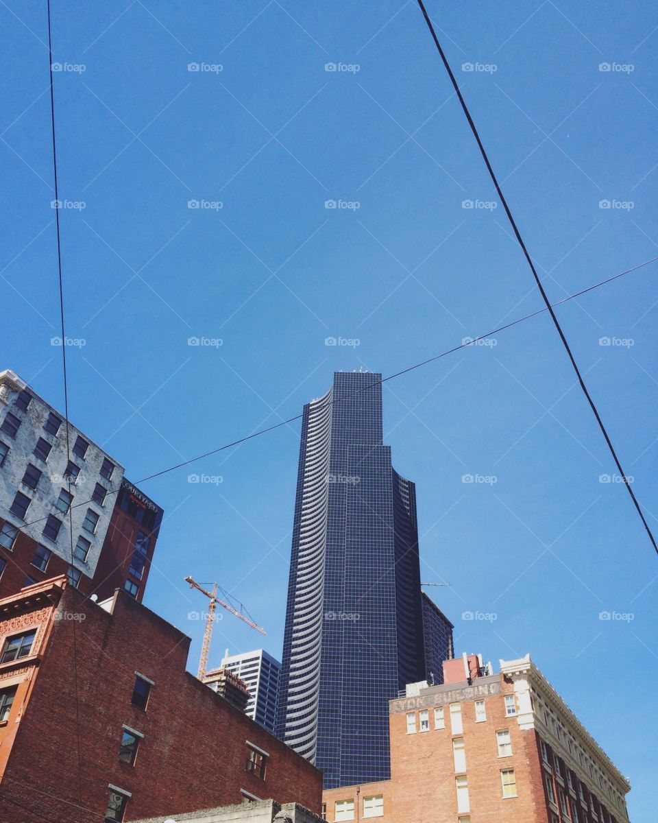 Looking up in Seattle