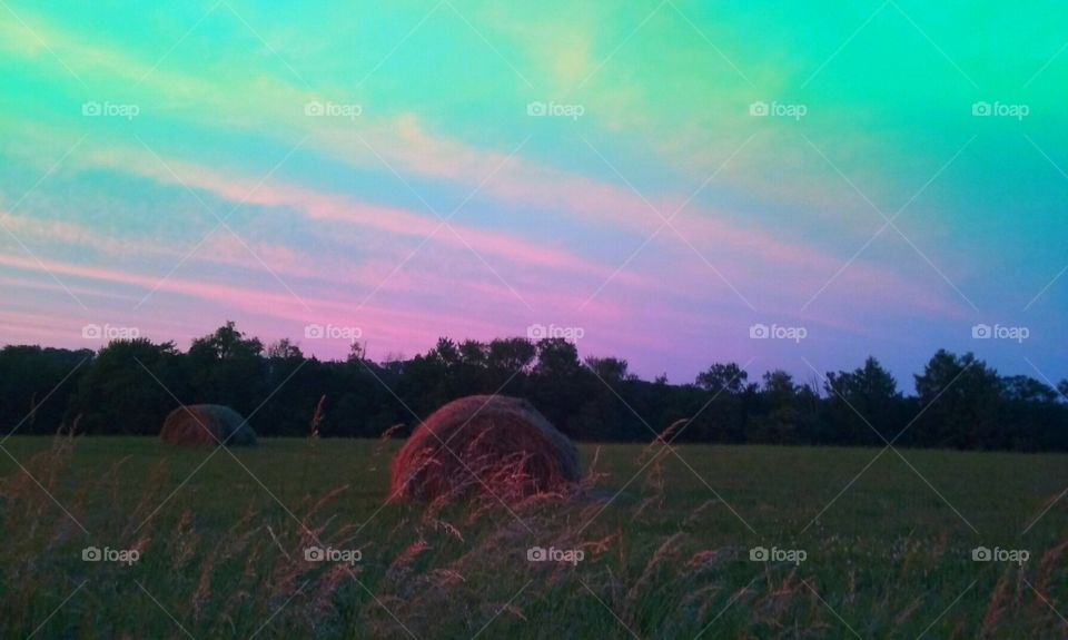 hay in a hay feild with sunset. hay and a sunset