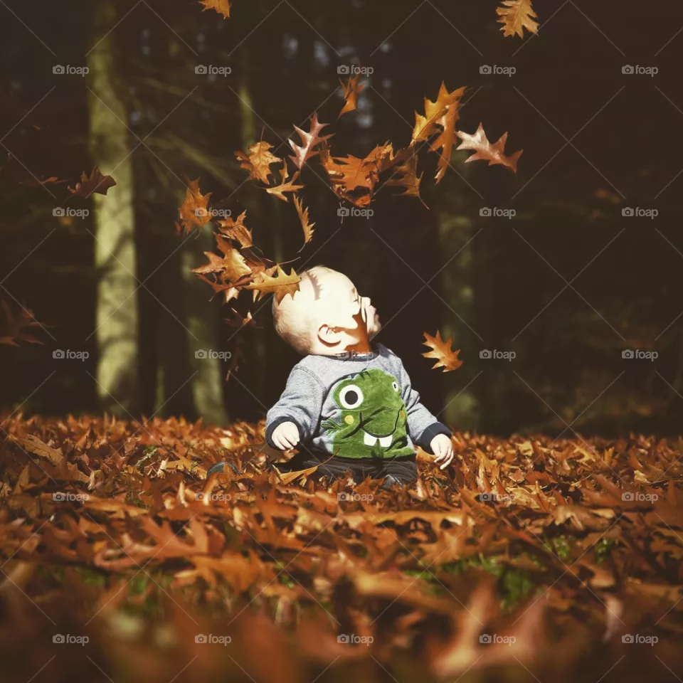 baby's first fall. taken at virginia water (uk) 