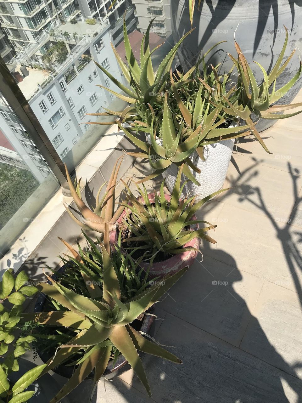 Good morning,New month coming, all good things coming 