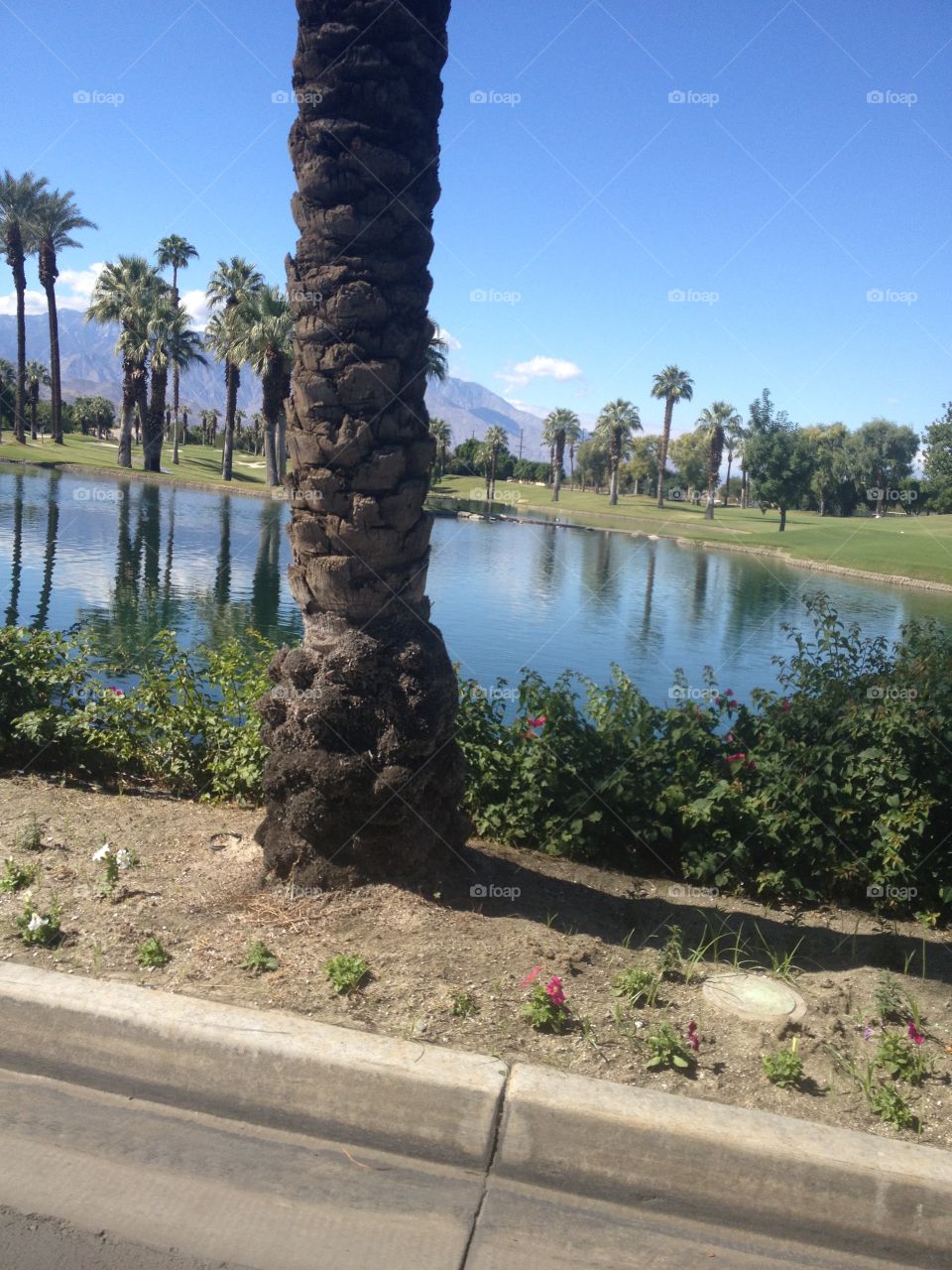 Palm Springs 