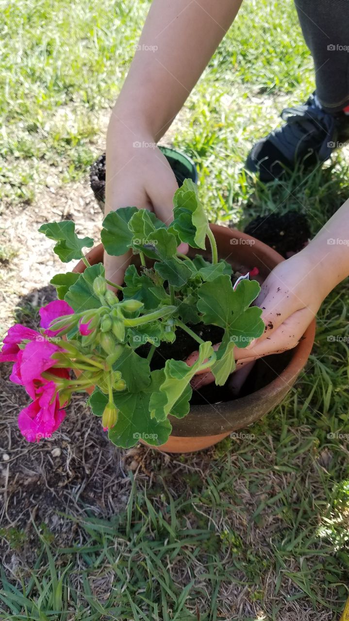 child planting a potted flower
