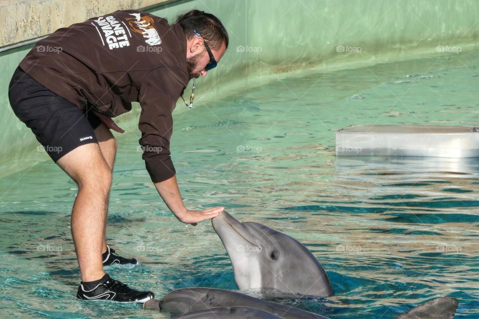 Man touching the rostrum of a dolphin