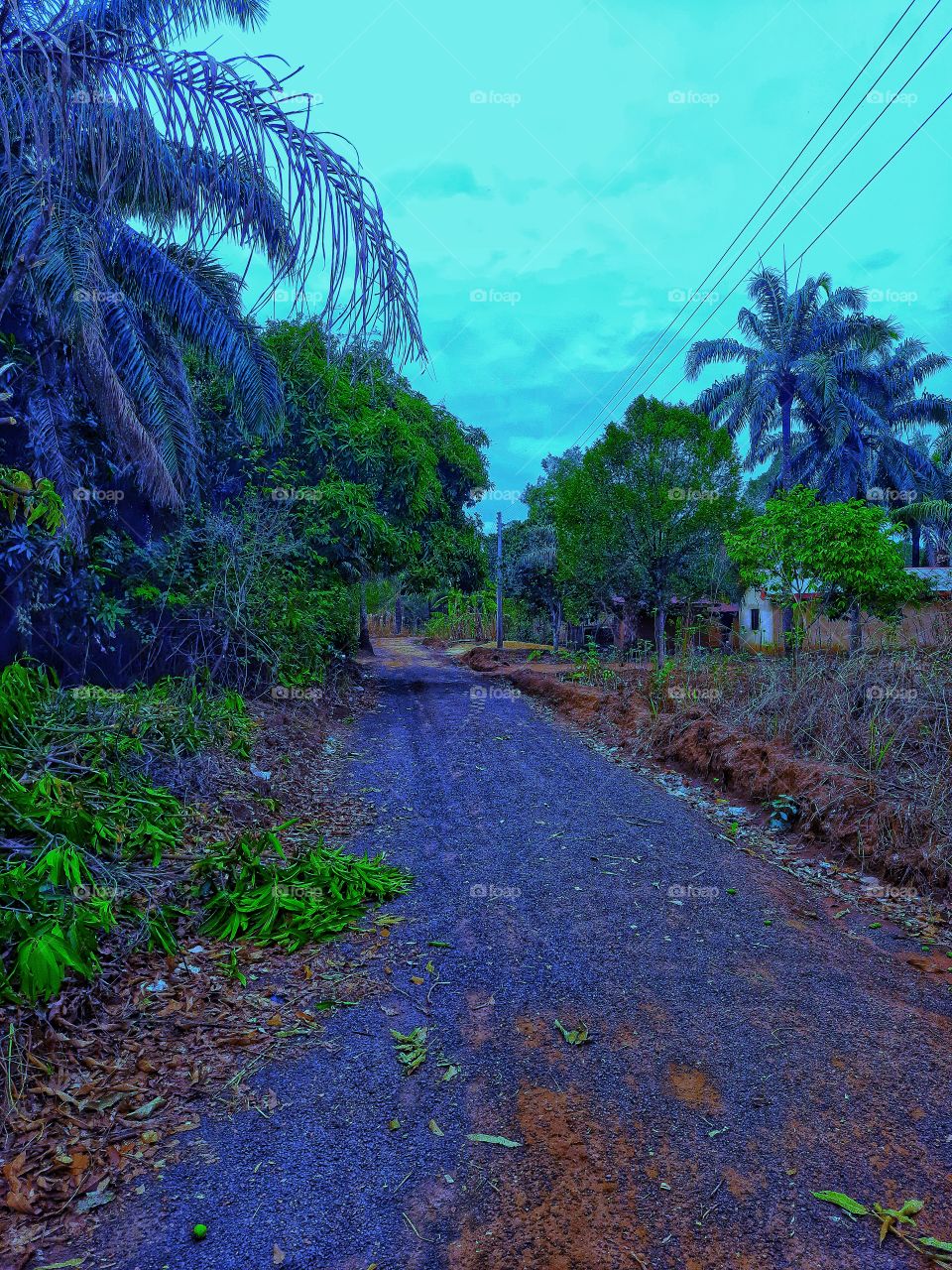 pathway