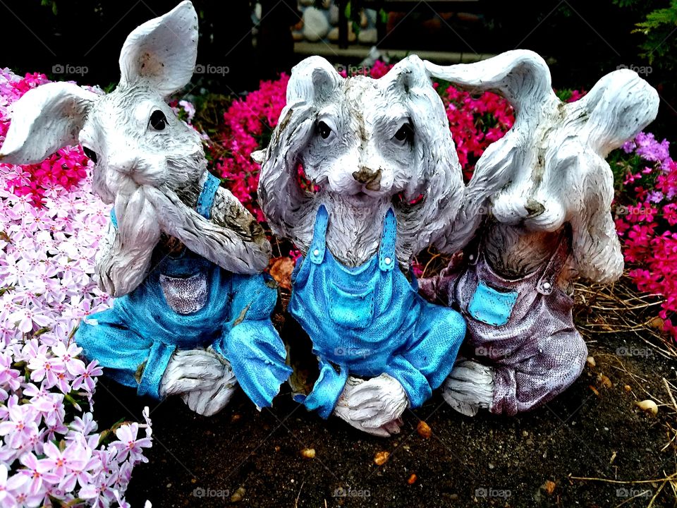 garden bunnies
