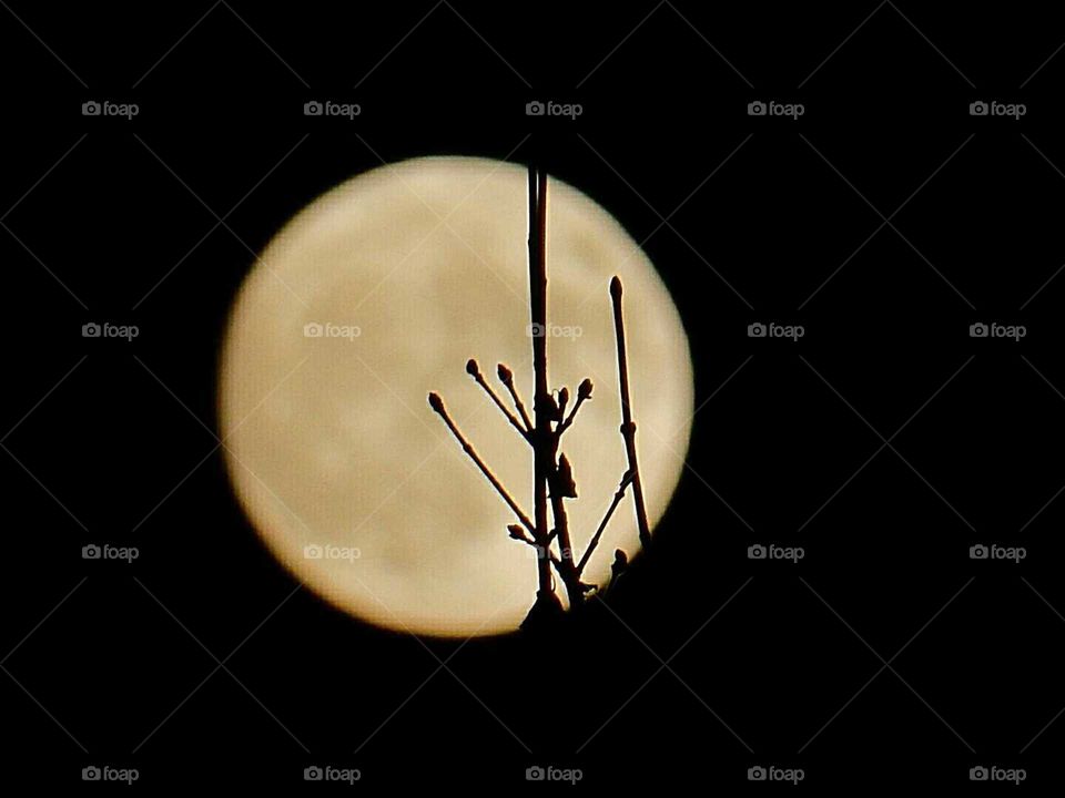 Supermoon 2016