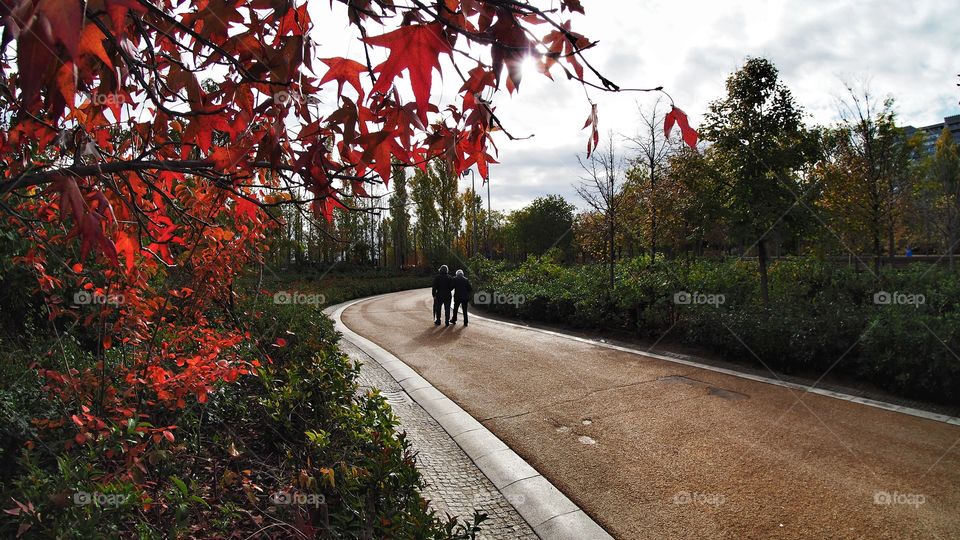 Otoño Autumn Madrid rio