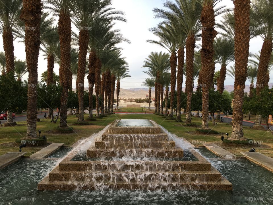 Oasis in a desert