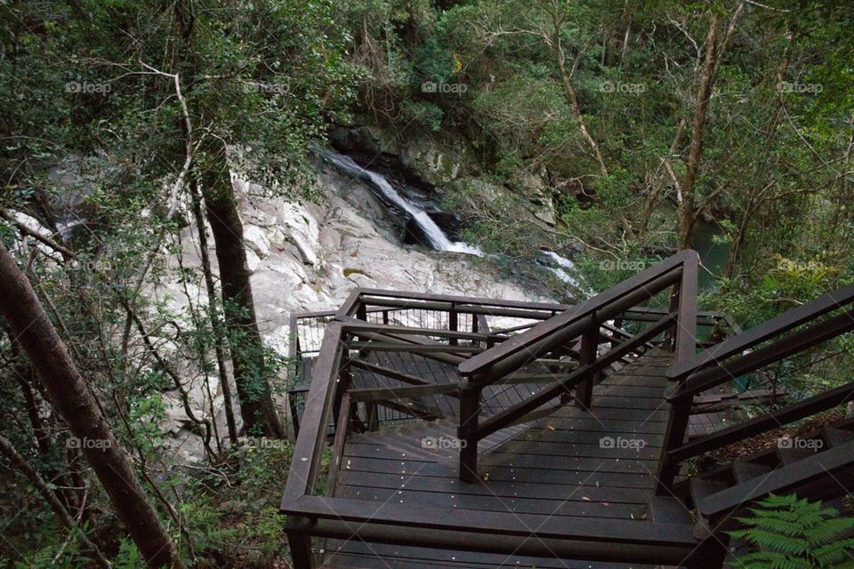 Nature Stairway to Waterfall