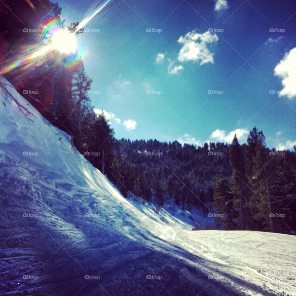 snow clouds sun trees by elmah2707