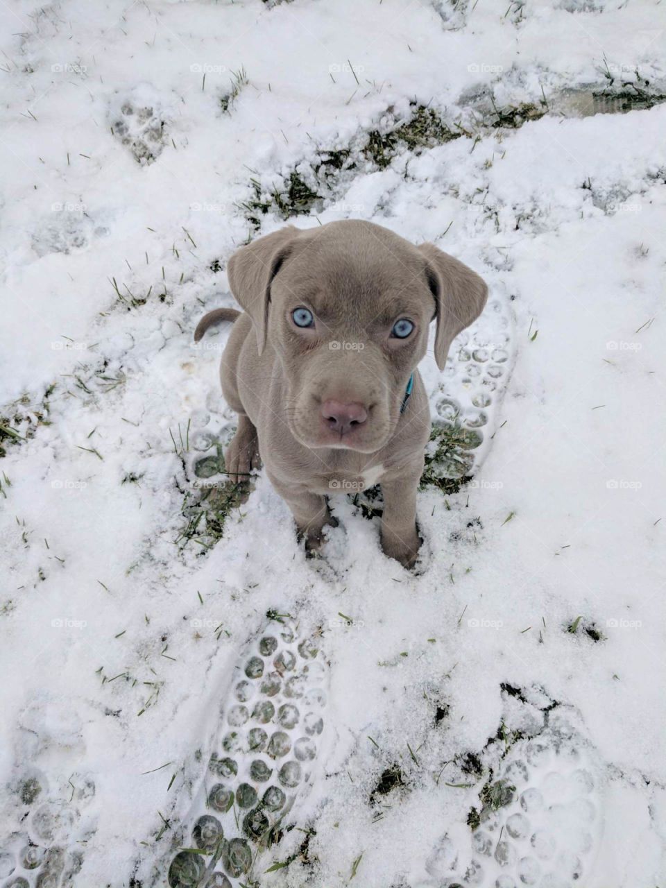 “What is this cold, white stuff mom?” 
