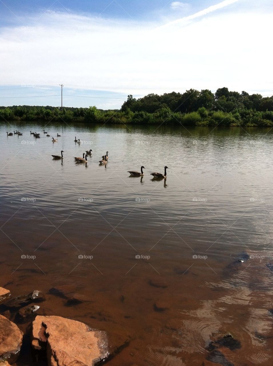 Local watering hole