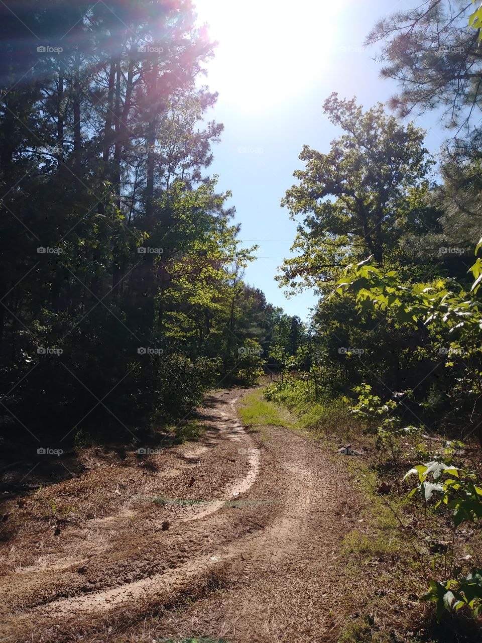 Enjoying a nice walk