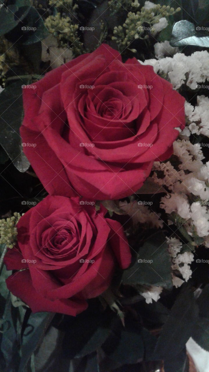 Red roses