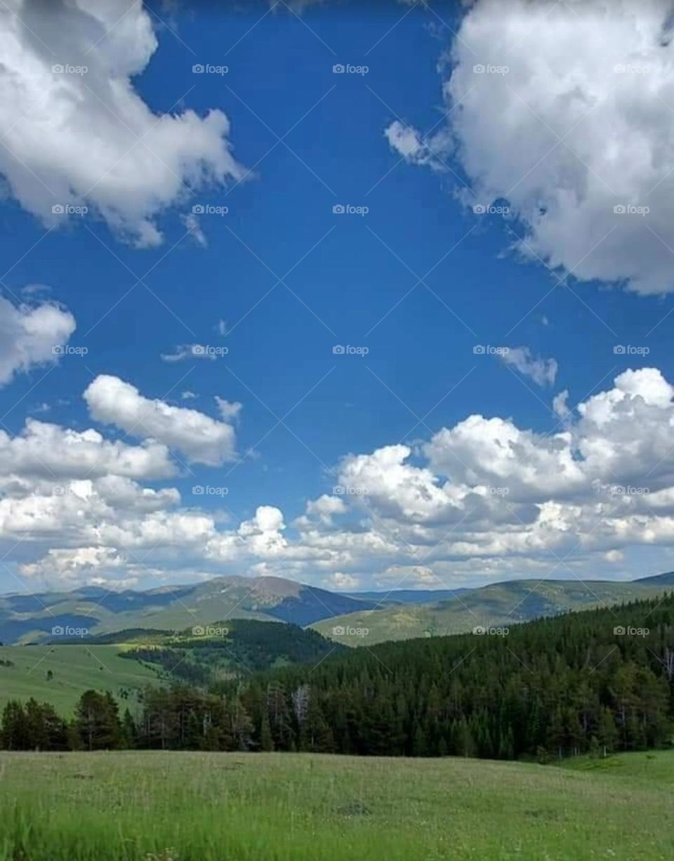 Montana big sky