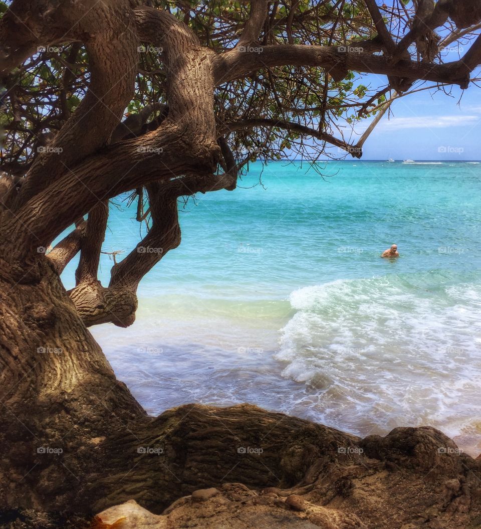 Early summer swimming