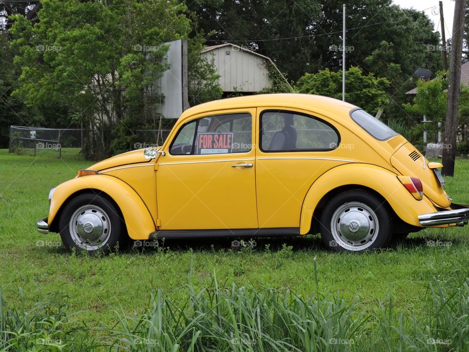 VW yellow