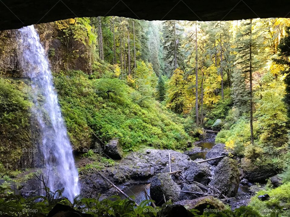“Fall into Vibrance” Visit Silver Falls State Park, one of Oregon’s Seven Natural Wonders, and hike behind the majestic North Falls. Here North Silver Creek crashes into a lush, vibrant sea of green with hints of yellow announcing Autumn’s approach.