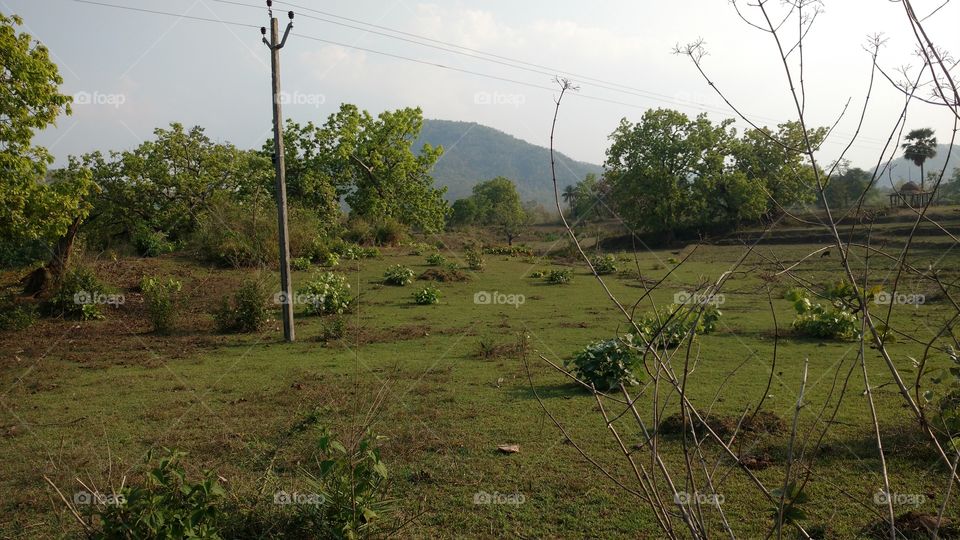 electrification to remote area in Odisha.