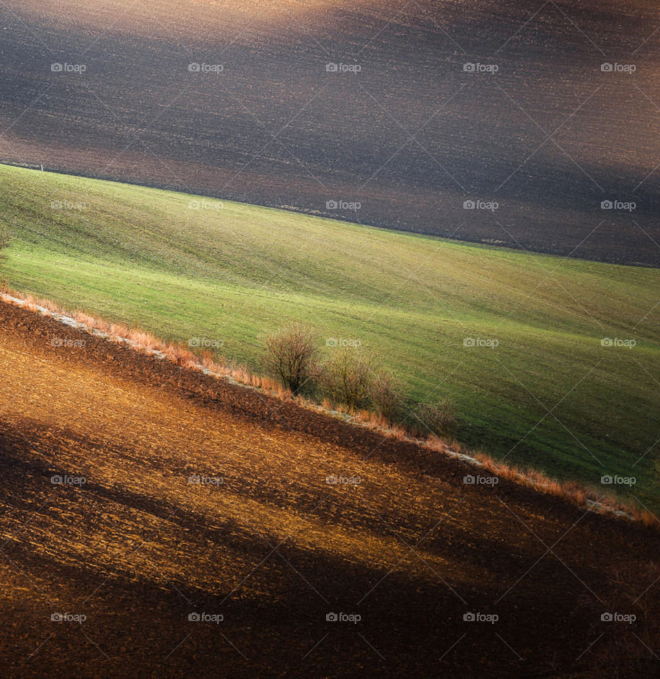 Travel around the world