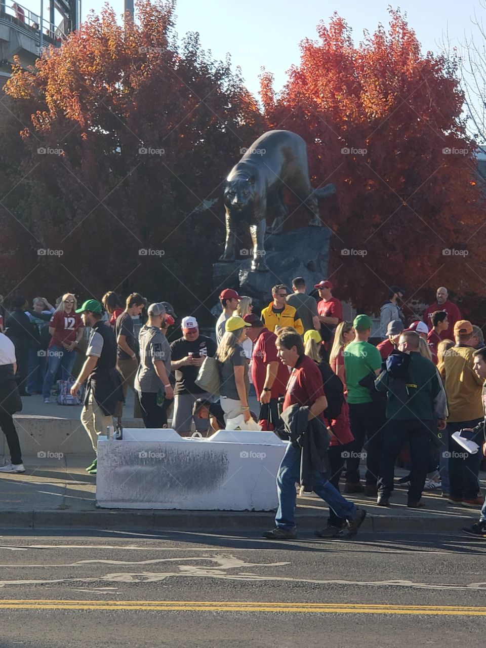 gathering crowd at big event