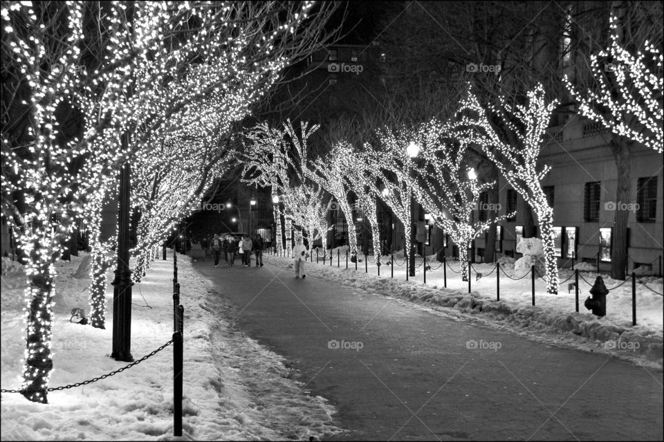 Columbia University Lights. The illuminated entrance to Columbia University at night in black and white. Campus X-mas lights Columbia University.