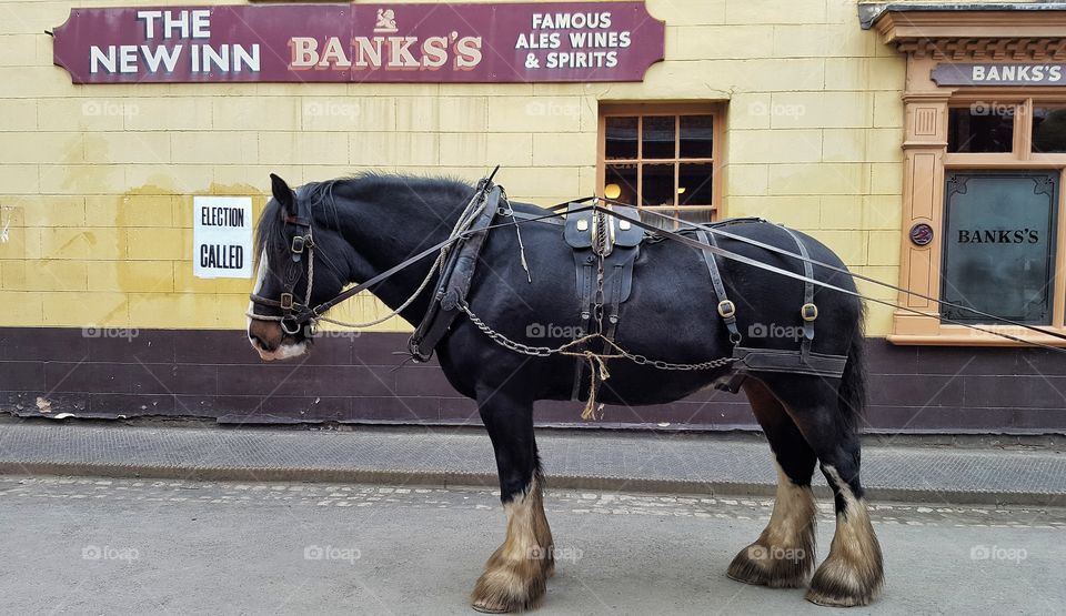 Large horse in front of a Victorian pub