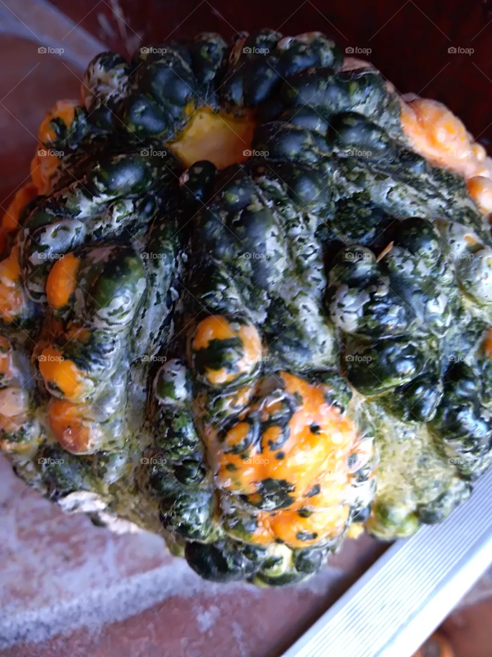 pumpkin