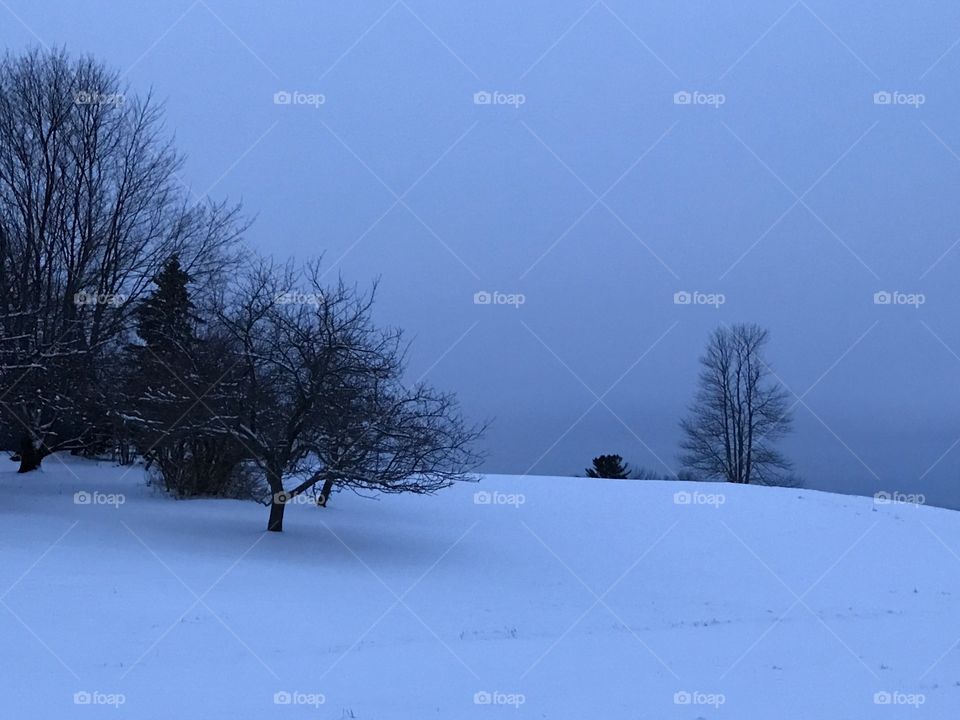 Dusk falls on the snowy fields