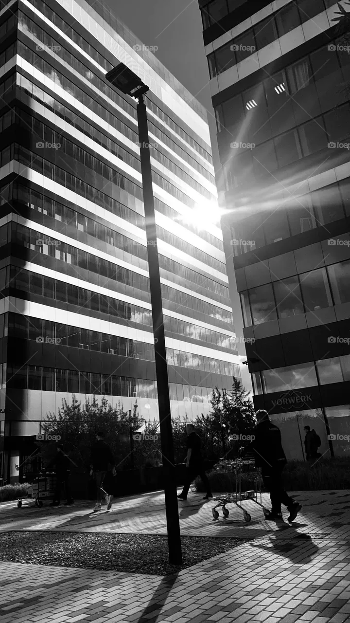 Buildings 