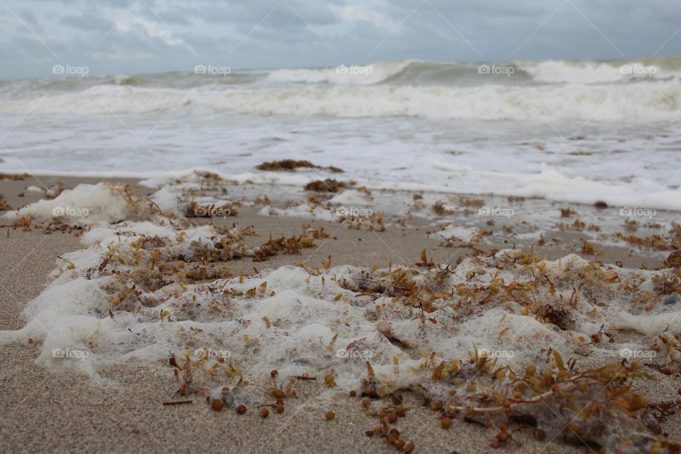 foamy 🌊 ocean waves