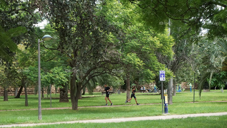 Park#nature#sport#run#trees#humans#activity