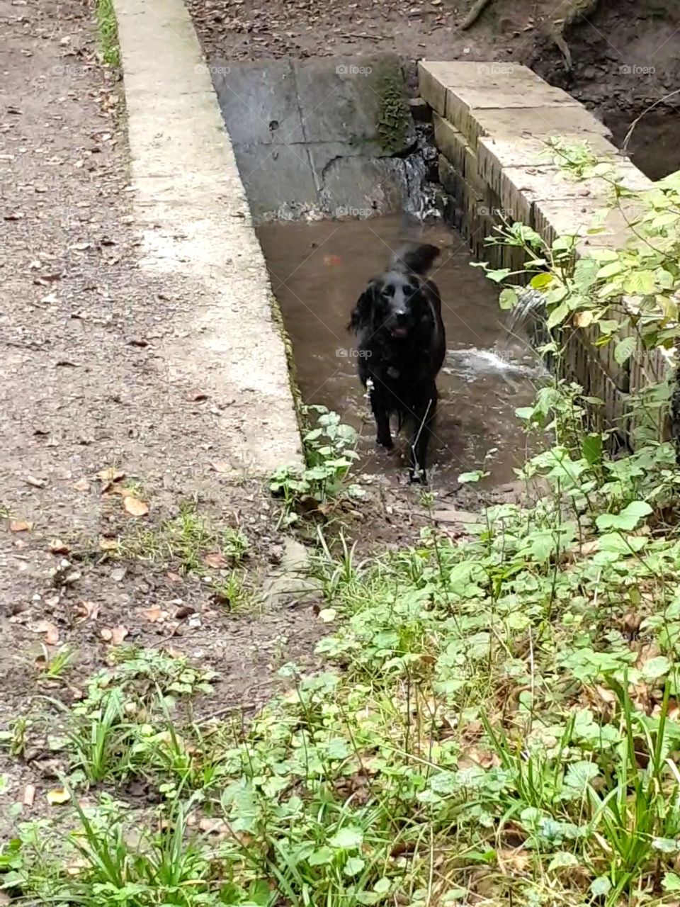 oooooo Wather , cool