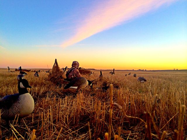 Morning Waterfowl Hunt