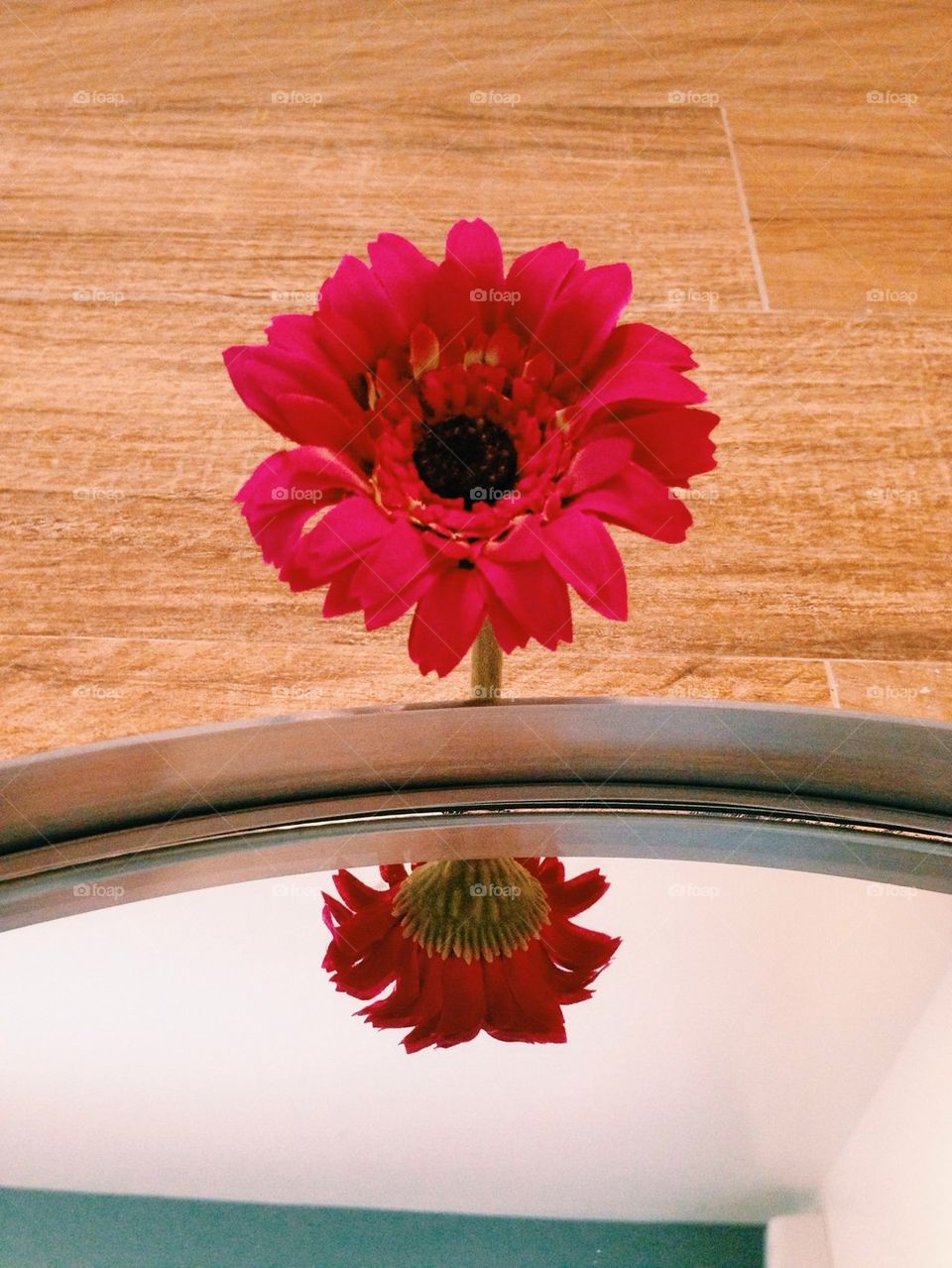 Pink flower and reflection