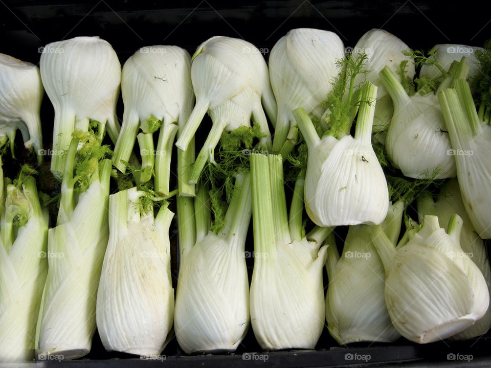 Fennel vegetables.