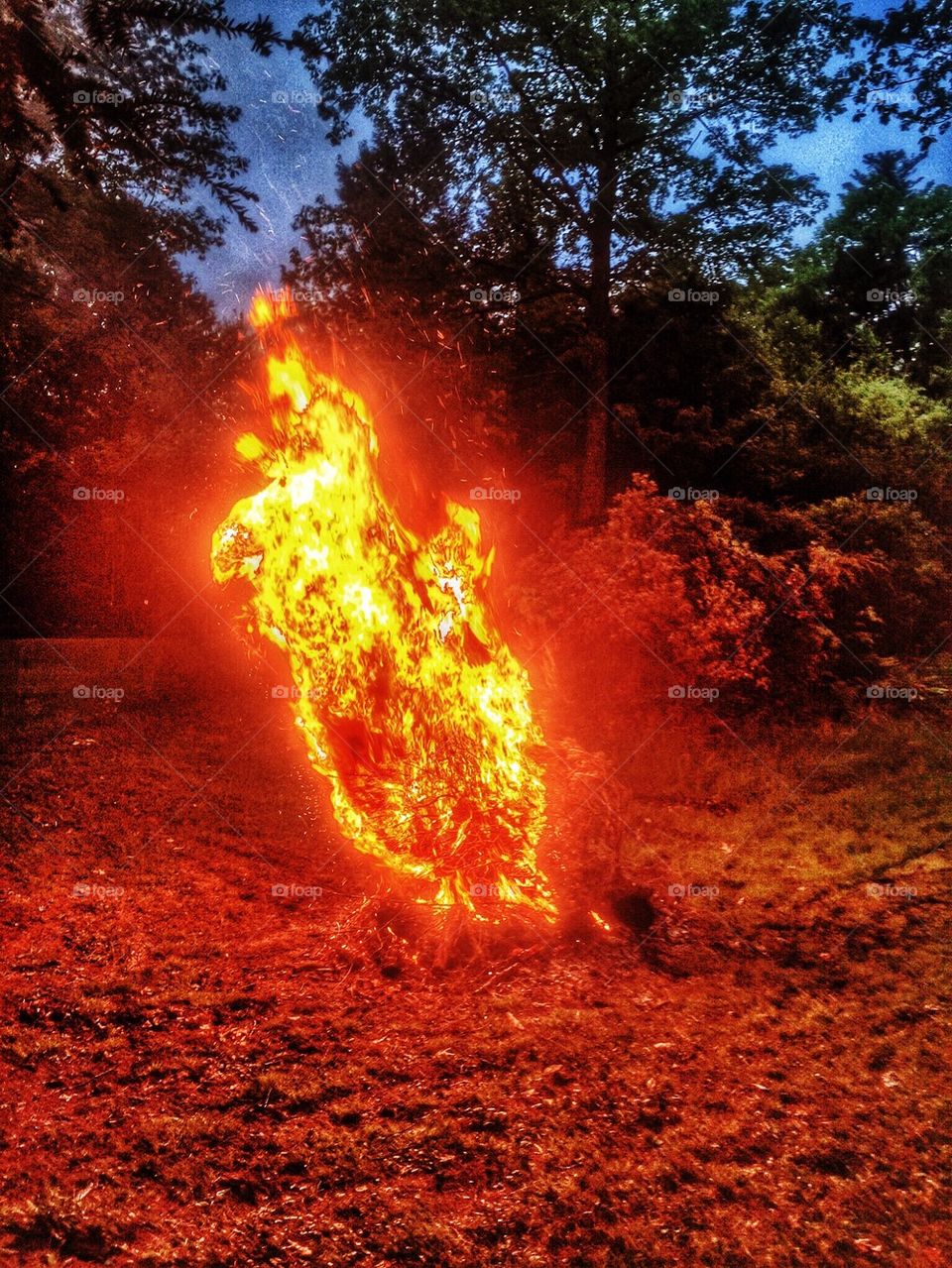 Bonfire in the fall