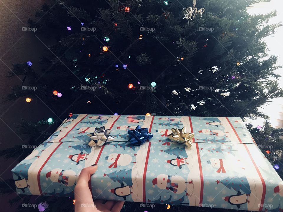 A woman Putting a preset wrapped  in Christmas wrapping paper with shiny bows on top under the Christmas tree. 