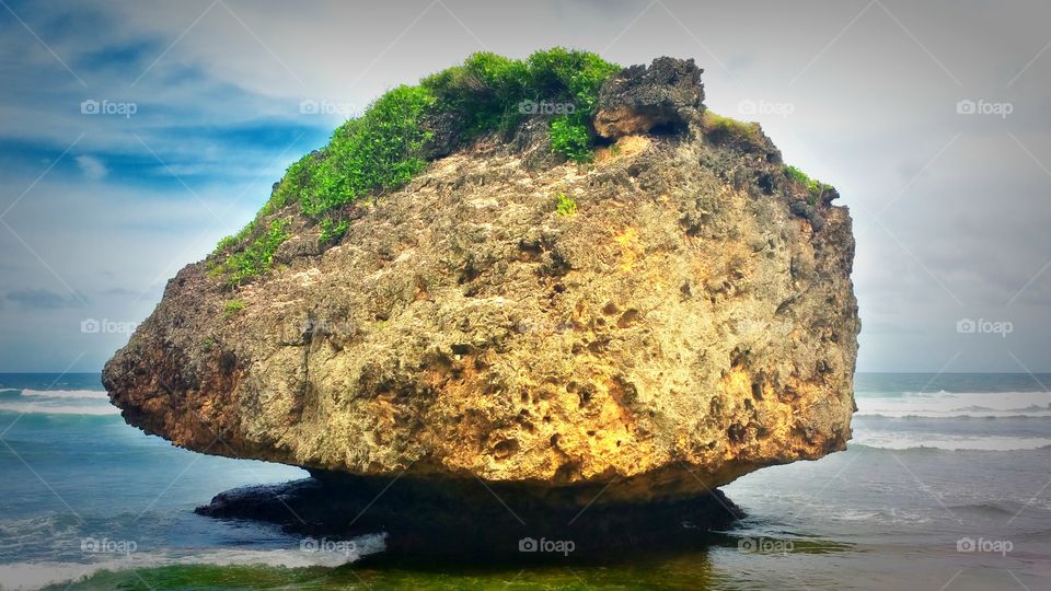 huge rock at Bathsheba park.. Barbados