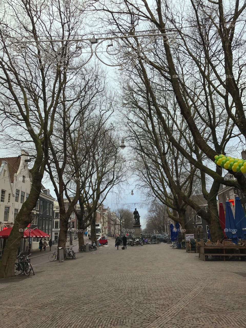 Trees in Amsterdam