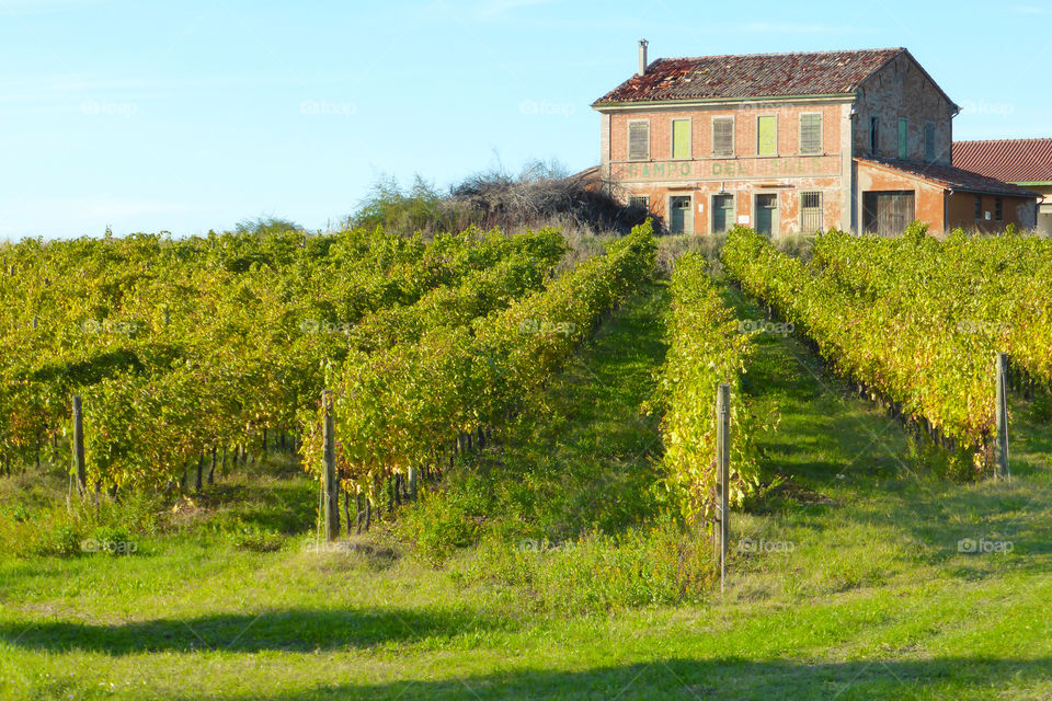 House on the hill