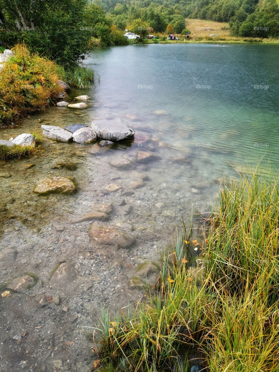 Memory view hand happy flower beauty nature form shape day part green plant Mountain hills fog foggy milky travel wild forest heaven