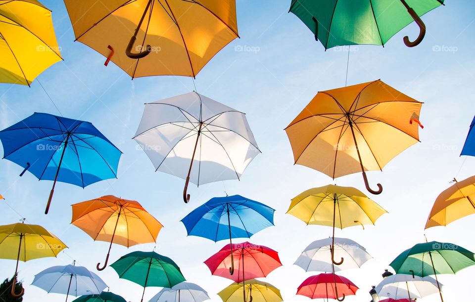 multi color umbrella