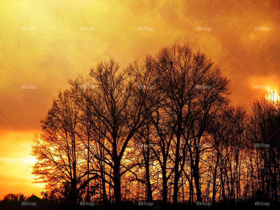 Sunset in the countryside 